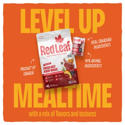 Red Leaf Fresh Turkey Dry Dog Food - Image 4