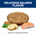 Hill's Science Diet Adult Dog Wet Food, Salmon & Vegetable Entrée, 12 x 363 g image thumbnail 5