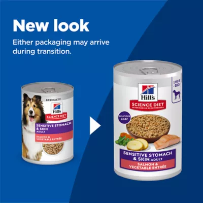 Hill's Science Diet Adult Dog Wet Food, Salmon & Vegetable Entrée, 12 x 363 g - Image 7
