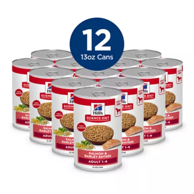 Hill's Science Diet Adult Salmon & Barley Entree Dog Food - Image 3