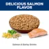 Hill's Science Diet Adult Salmon & Barley Entree Dog Food image thumbnail 4