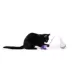 Whisker City® Electronic Wobble Teaser Cat Toys image thumbnail 3