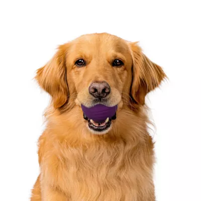 Playology® Bacon Scented Dual Layer Ball Dog Toy, Jumbo - Image 3