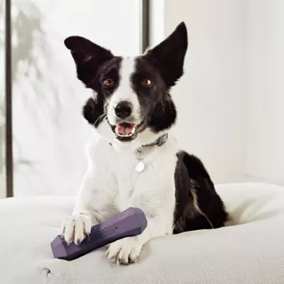Playology® Bacon Scented Squeaky Chew Stick Dog Toy, Jumbo - Image 3