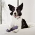 Playology® Bacon Scented Squeaky Chew Stick Dog Toy, Jumbo image thumbnail 3