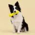 Playology Chicken Scented Squeaky Chew Stick Dog Toy, Jumbo image thumbnail 3