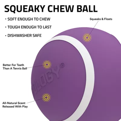 Playology® Bacon Scented Squeaky Chew Ball Dog Toy, Jumbo - Image 2