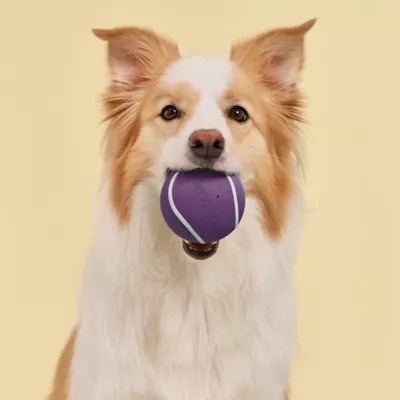 Playology® Bacon Scented Squeaky Chew Ball Dog Toy, Jumbo - Image 3