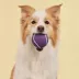 Playology® Bacon Scented Squeaky Chew Ball Dog Toy, Jumbo image thumbnail 3