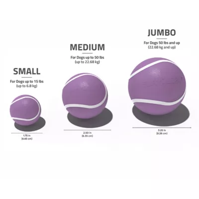 Playology® Bacon Scented Squeaky Chew Ball Dog Toy, Jumbo - Image 5
