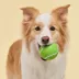 Playology® Sweet Potato Scented Squeaky Chew Ball Dog Toy, Jumbo image thumbnail 5
