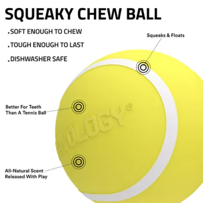 Playology Chicken Scented Squeaky Chew Ball Dog Toy, Jumbo - Image 2