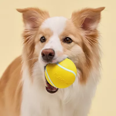 Playology Chicken Scented Squeaky Chew Ball Dog Toy, Jumbo - Image 3