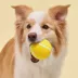 Playology Chicken Scented Squeaky Chew Ball Dog Toy, Jumbo image thumbnail 3