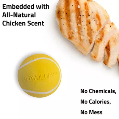 Playology Chicken Scented Squeaky Chew Ball Dog Toy, Jumbo - Image 4