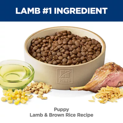 Hill's Science Diet Puppy Lamb Meal & Brown Rice Recipe Dry Dog Food - Image 6