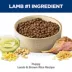 Hill's Science Diet Puppy Lamb Meal & Brown Rice Recipe Dry Dog Food image thumbnail 6