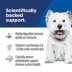 Hill's Science Diet Adult Sensitive Stomach & Skin Small Bites Dry Dog Food, Chicken Recipe image thumbnail 6