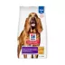 Hill's Science Diet Adult Sensitive Stomach & Skin Large Breed Dry Dog Food, Chicken Recipe image thumbnail 1
