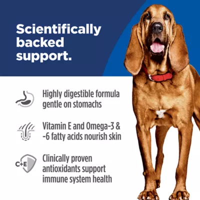 Hill's Science Diet Adult Sensitive Stomach & Skin Large Breed Dry Dog Food, Chicken Recipe - Image 5