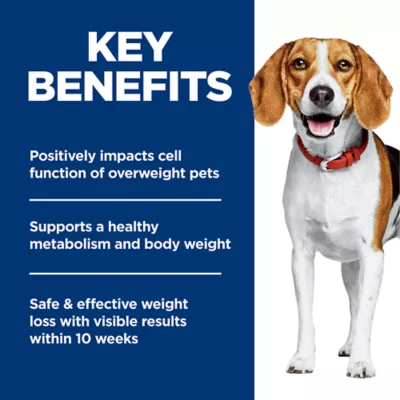 Hill's Science Diet Adult Perfect Weight Small Bites Dry Dog Food, Chicken Recipe - Image 6