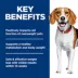 Hill's Science Diet Adult Perfect Weight Small Bites Dry Dog Food, Chicken Recipe image thumbnail 6