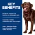Hill's Science Diet Adult Perfect Weight Large Breed Dry Dog Food, Chicken Recipe image thumbnail 6
