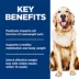 Hill's Science Diet Adult Perfect Weight Chicken Recipe Dry Dog Food image thumbnail 6