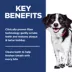 Hill's Science Diet Adult Oral Care Small & Mini Chicken Recipe Dry Dog Food image thumbnail 5