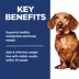 Hill's Science Diet Adult Perfect Weight Small & Mini Chicken Recipe Dry Dog Food image thumbnail 6