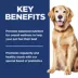 Hill's Science Diet Adult 7+ Perfect Digestion Chicken, Whole Oats & Brown Rice Recipe Dry Dog Food image thumbnail 6