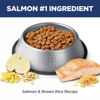 Hill's Science Diet Adult Perfect Digestion Salmon, Whole Oats & Brown Rice Recipe Dry Dog Food - Image 5