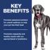 Hill's Science Diet Adult Perfect Digestion Large Breed Dry Dog Food image thumbnail 6