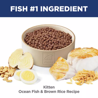 Hill's Science Diet Kitten Dry Cat Food - Image 6