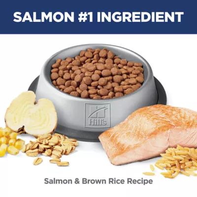 Hill's Science Diet Adult Perfect Digestion Dry Cat Food - Image 5