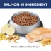 Hill's Science Diet Adult Perfect Digestion Dry Cat Food image thumbnail 5