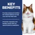 Hill's Science Diet Adult Perfect Digestion Dry Cat Food image thumbnail 6