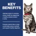 Hill's Science Diet Adult Urinary & Hairball Control Dry Cat Food image thumbnail 6
