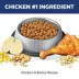 Hill's Science Diet Adult Perfect Digestion Dry Cat Food image thumbnail 5