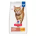 Hill's Science Diet Adult Urinary & Hairball Control Dry Cat Food image thumbnail 1