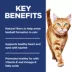 Hill's Science Diet Adult Urinary & Hairball Control Dry Cat Food image thumbnail 6
