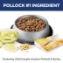 Hill's Science Diet Senior Sensitive Stomach & Skin Pollock Dry Cat Food image thumbnail 6