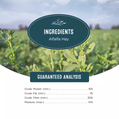 Living World Small Animal Alfalfa Chews - Image 4