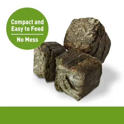 Living World Small Animal Timothy Chews - Image 2