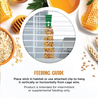 Living World Hamster Treat Sticks, Honey Flavour, 2-pack - Image 4