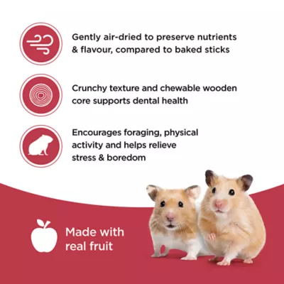 Living World Hamster Treat Sticks, Fruit Flavour, 2-pack - Image 5