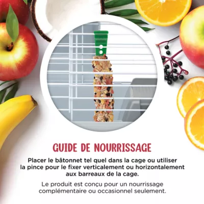 Living World Guinea Pig Treat Sticks, Fruit Flavour, 2-pack - Image 4