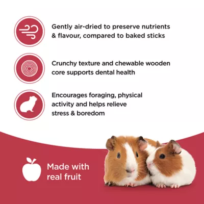 Living World Guinea Pig Treat Sticks, Fruit Flavour, 2-pack - Image 5