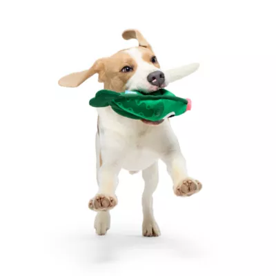 BARK Barkin Billy Bass Dog Toy - Image 3
