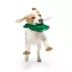 BARK Barkin Billy Bass Dog Toy image thumbnail 3